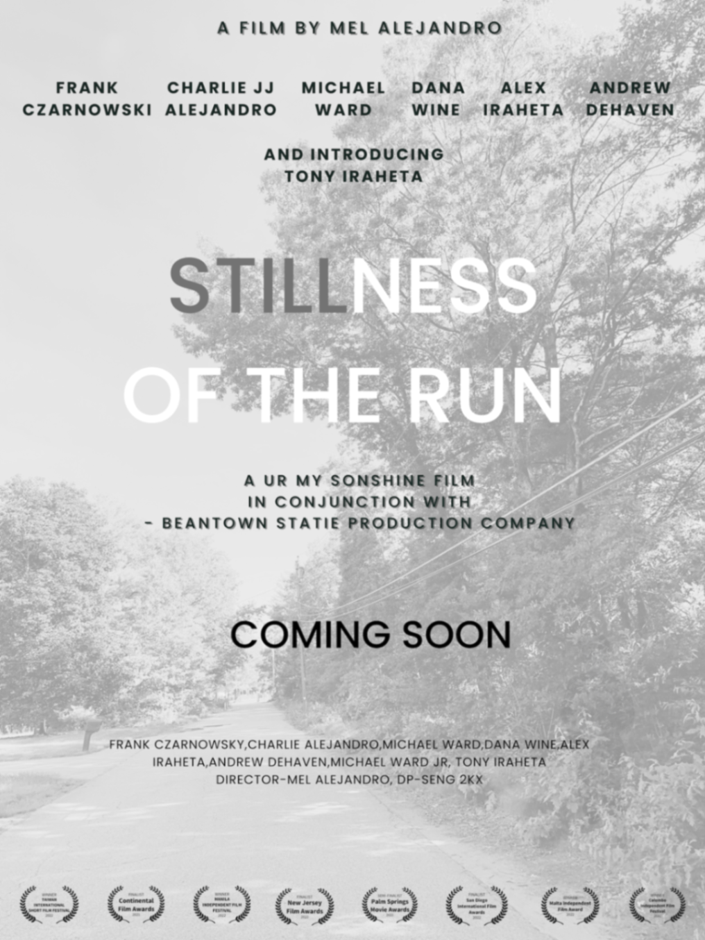 Stillness of the Run